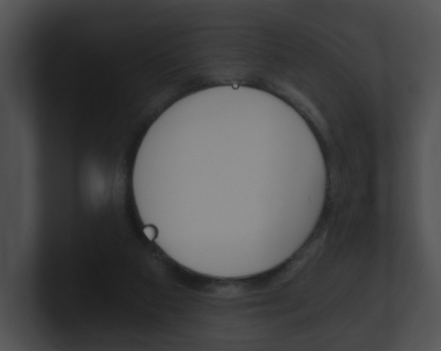 X0000100900113200806241038