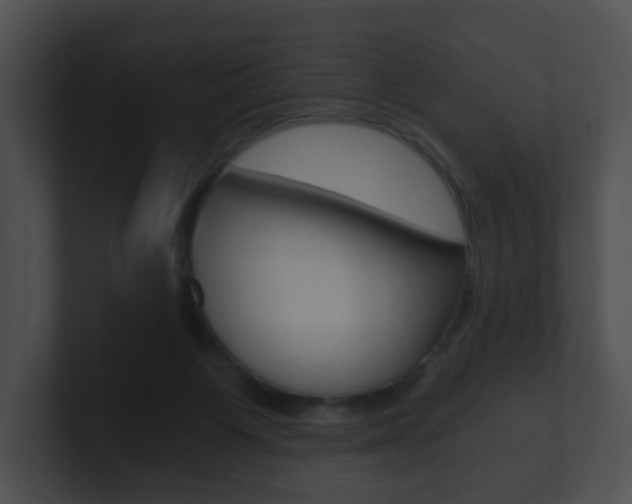 X0000100900119200806241038
