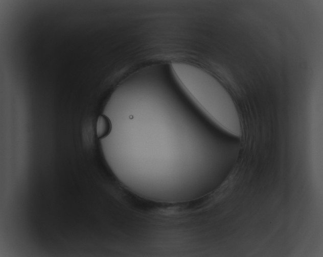 X0000100900120200806241038