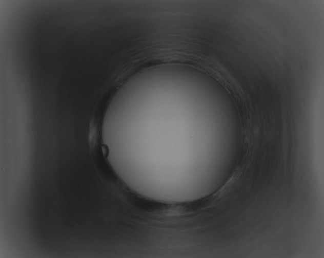 X0000100900124200806241038