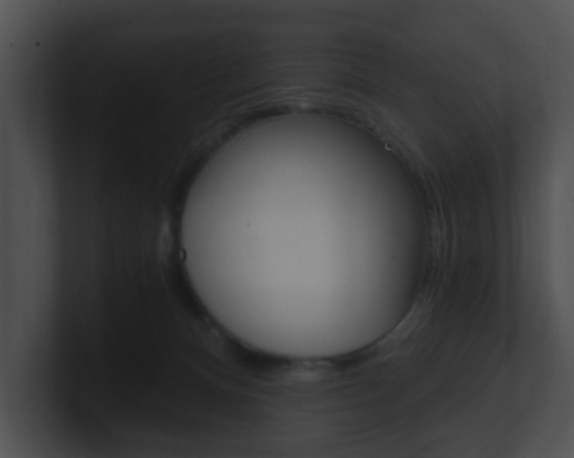X0000100900128200806241038