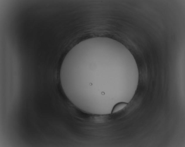 X0000100900134200806241038
