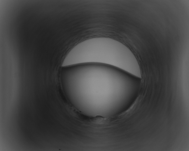 X0000100900136200806241038