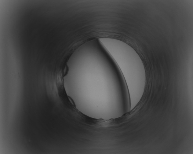 X0000100900143200806241038