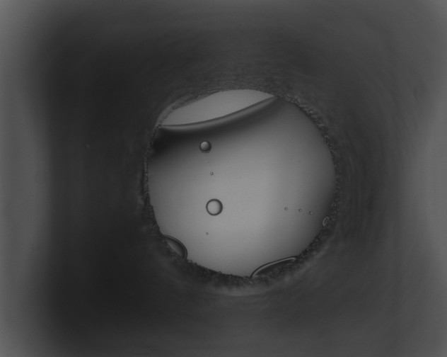X0000100900144200806241038