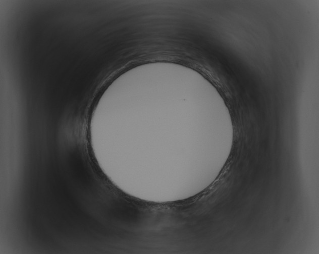 X0000100900146200806241037