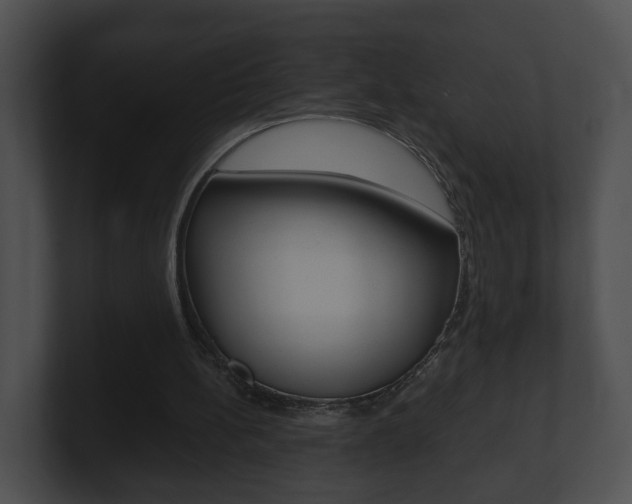 X0000100900148200806241037