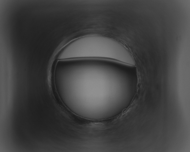 X0000100900150200806241037