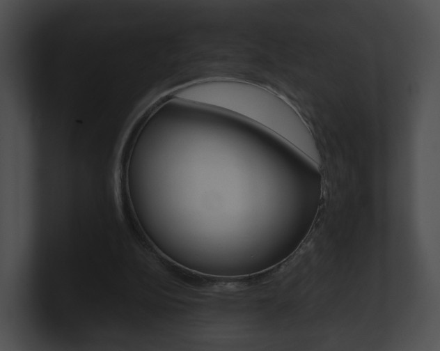 X0000100900152200806241037