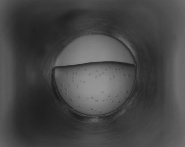 X0000100900153200806241037
