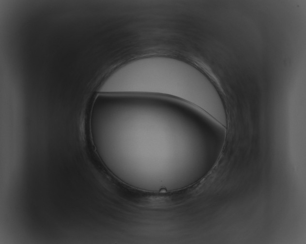 X0000100900154200806241037