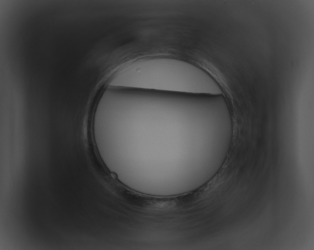 X0000100900155200806241037