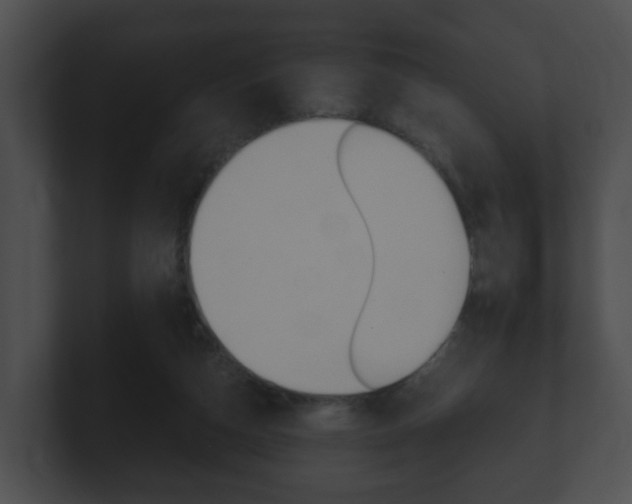 X0000100900162200806241037