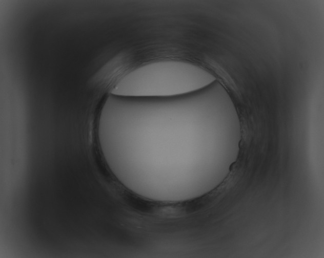 X0000100900163200806241037