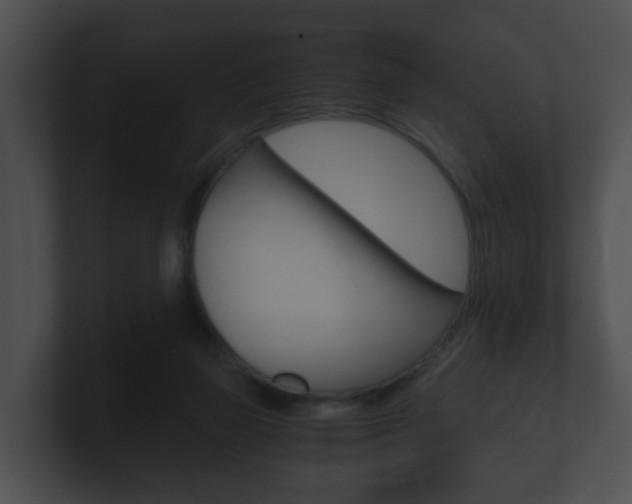 X0000100900165200806241038