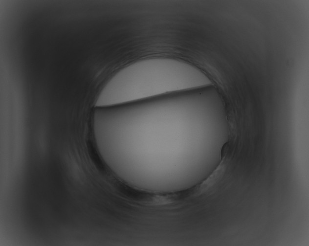 X0000100900166200806241038