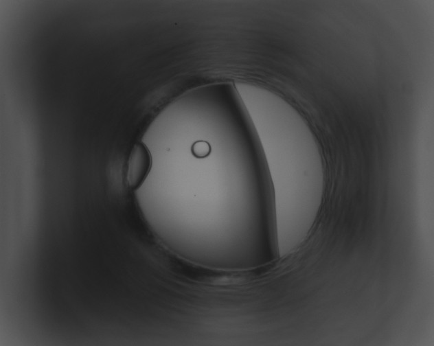 X0000100900168200806241038