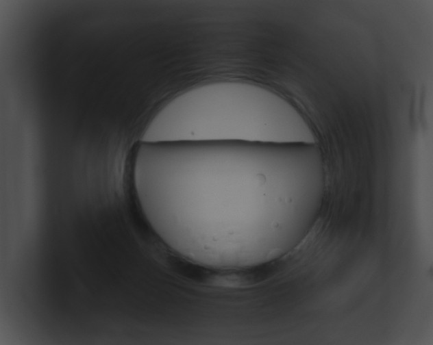 X0000100900171200806241038