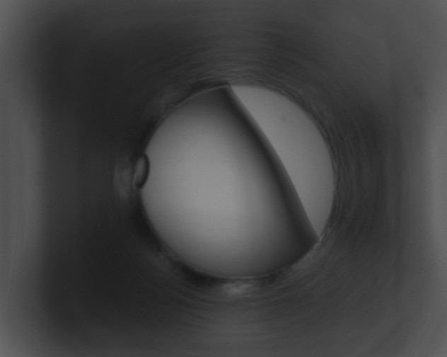X0000100900172200806241038