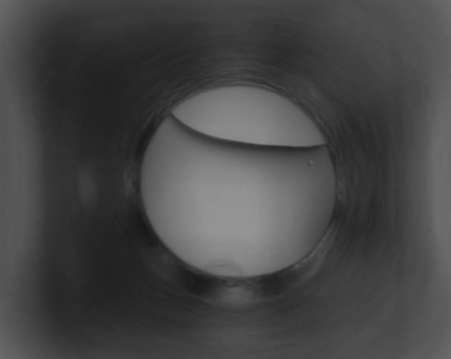 X0000100900175200806241038