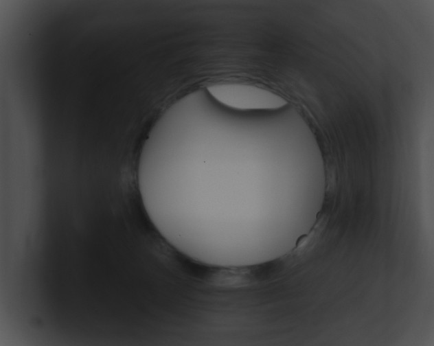 X0000100900179200806241038