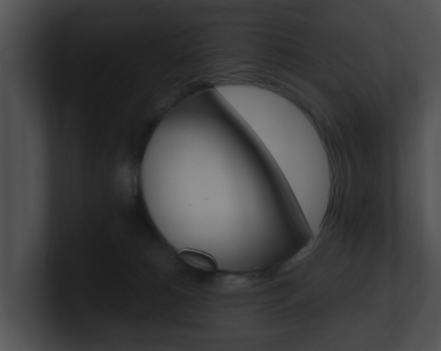 X0000100900180200806241038