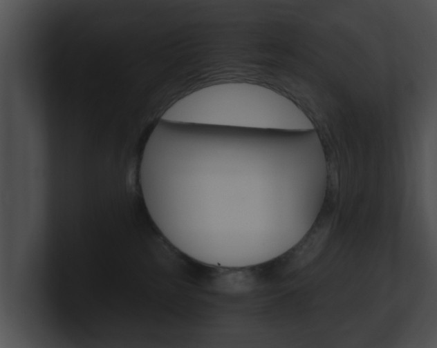 X0000100900185200806241038