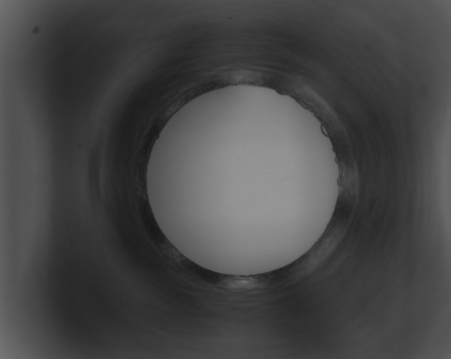 X0000100900189200806241038