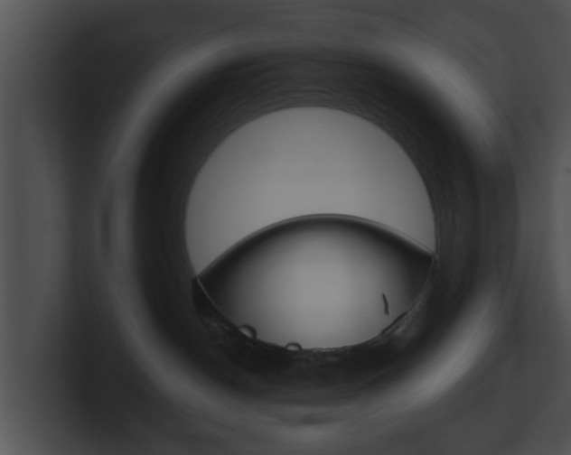 X0000100900190200806241038