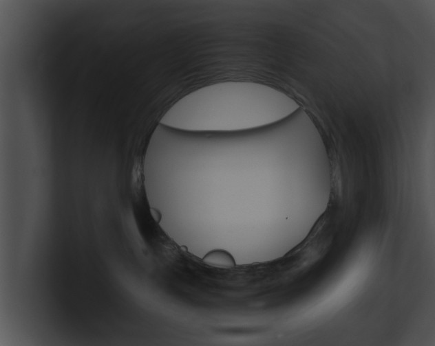 X0000100900191200806241038
