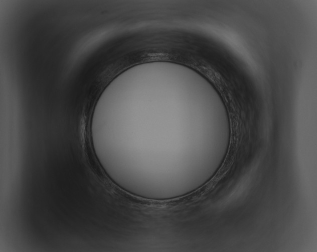 X0000100900194200806241037