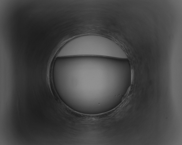 X0000100900195200806241037