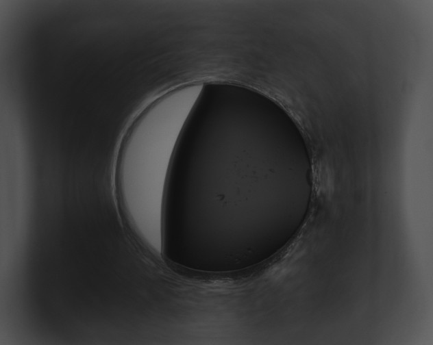 X0000100900196200806241037