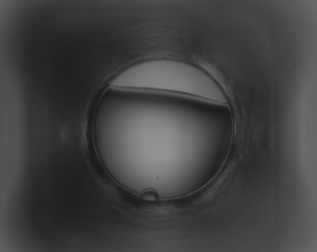 X0000100900201200806241037