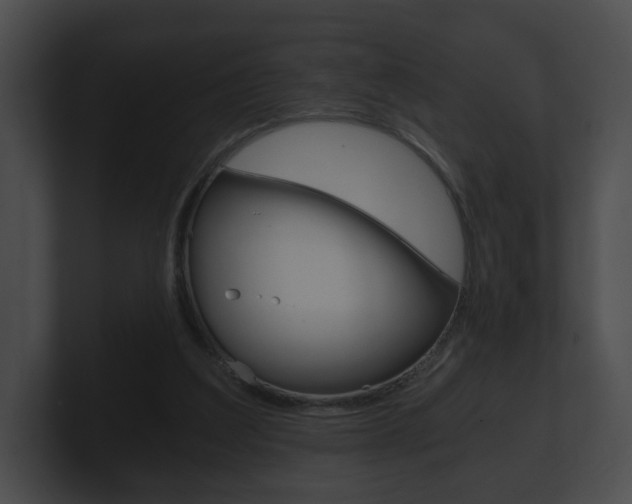 X0000100900203200806241037