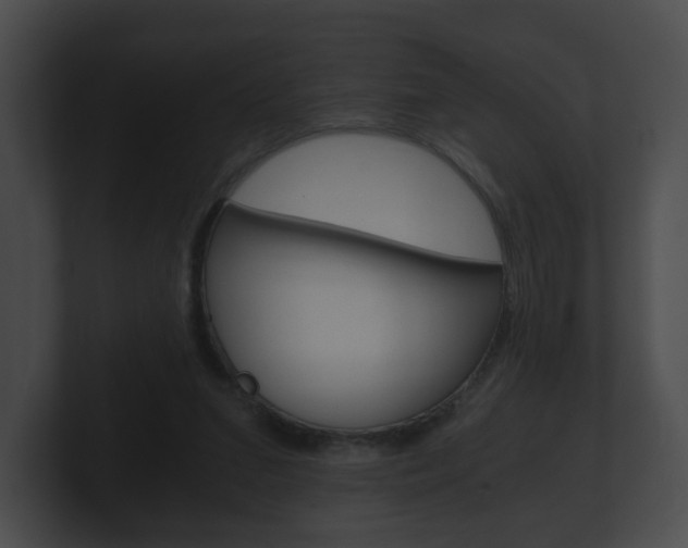 X0000100900207200806241037