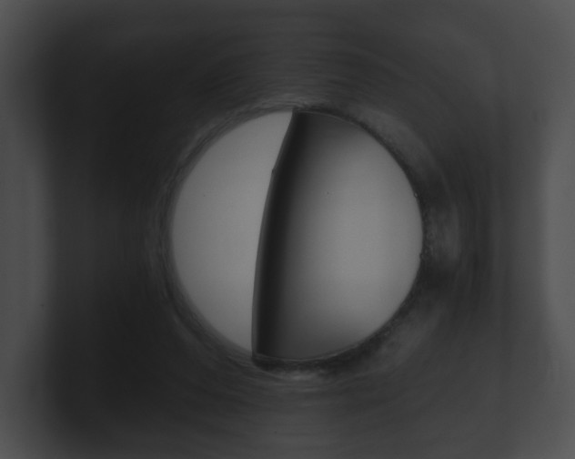 X0000100900208200806241037