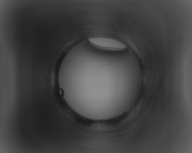 X0000100900211200806241037