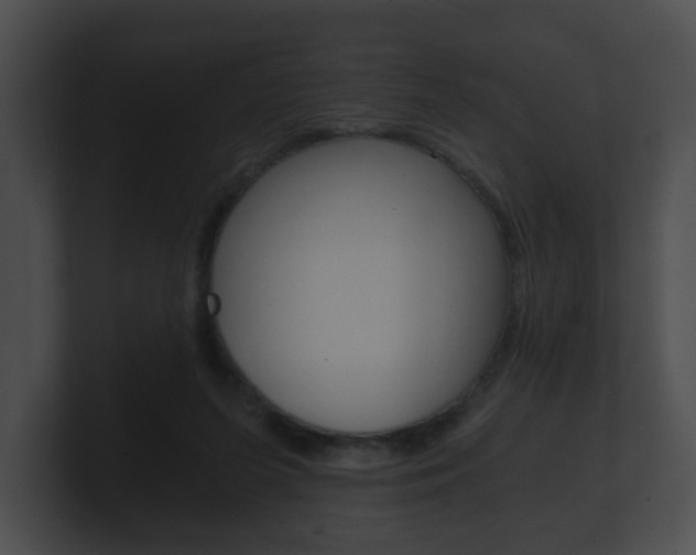 X0000100900215200806241037