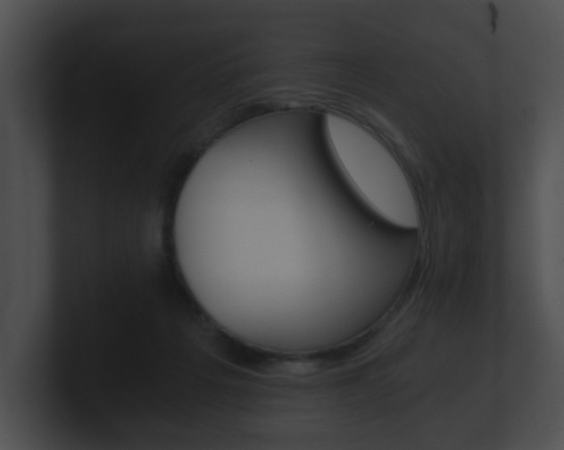 X0000100900217200806241037