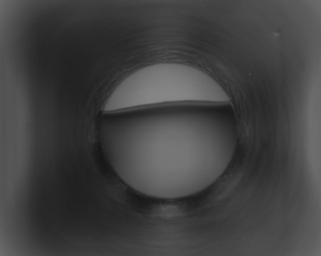 X0000100900224200806241037