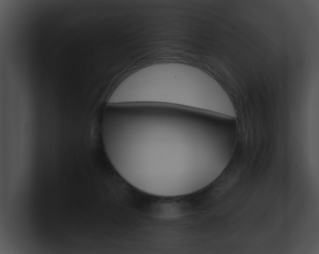 X0000100900228200806241037