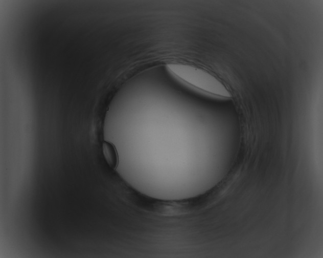 X0000100900229200806241037