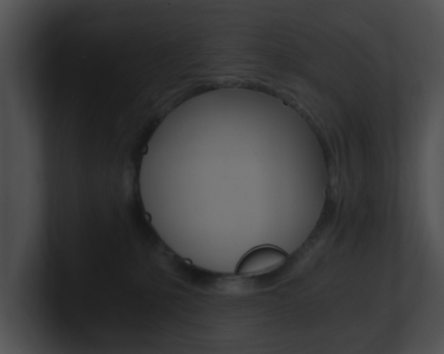 X0000100900231200806241037
