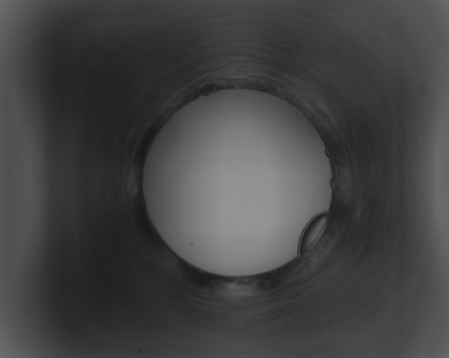 X0000100900232200806241037