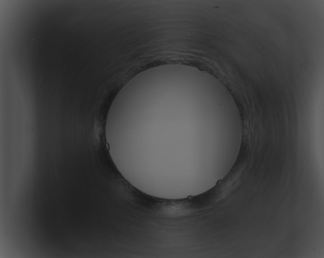 X0000100900235200806241037