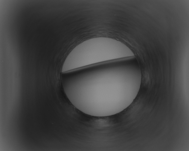 X0000100900236200806241037