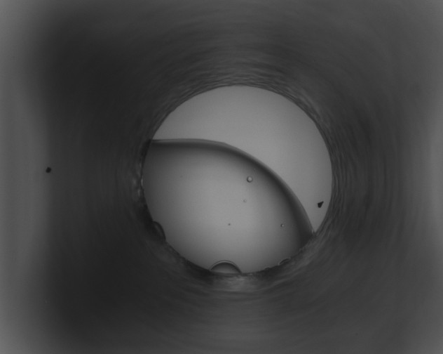 X0000100900237200806241037