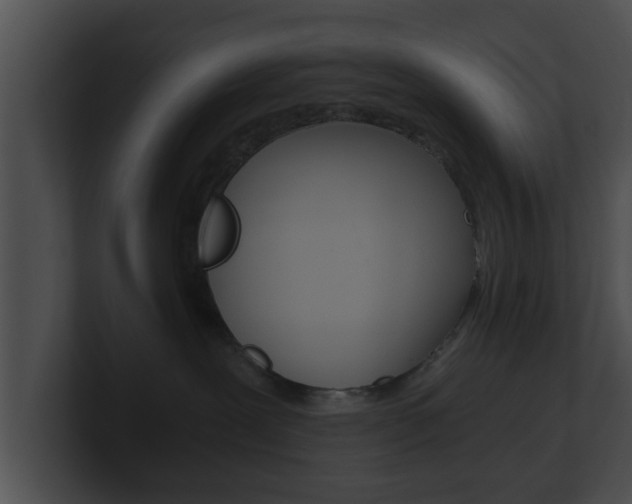 X0000100900239200806241037