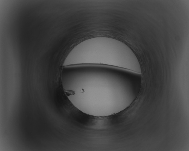 X0000100900240200806241037